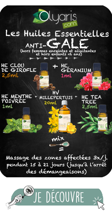 Huile Essentielle de Menthe Poivrée : Le Guide Complet par Olyaris